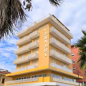 https://hotel-carnaby.riccione-hotels.org